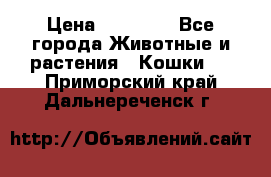 Zolton › Цена ­ 30 000 - Все города Животные и растения » Кошки   . Приморский край,Дальнереченск г.